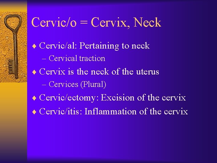 Cervic/o = Cervix, Neck ¨ Cervic/al: Pertaining to neck – Cervical traction ¨ Cervix