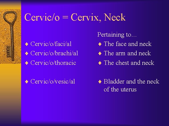 Cervic/o = Cervix, Neck ¨ Cervic/o/thoracic Pertaining to… ¨ The face and neck ¨