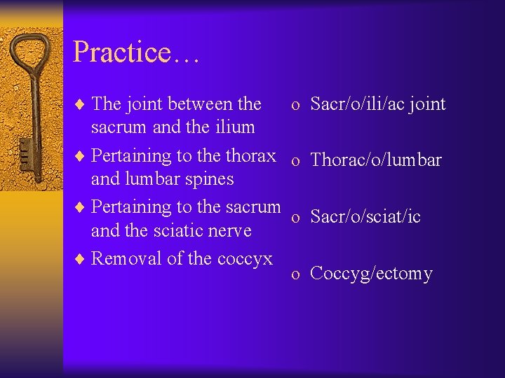 Practice… ¨ The joint between the o Sacr/o/ili/ac joint sacrum and the ilium ¨