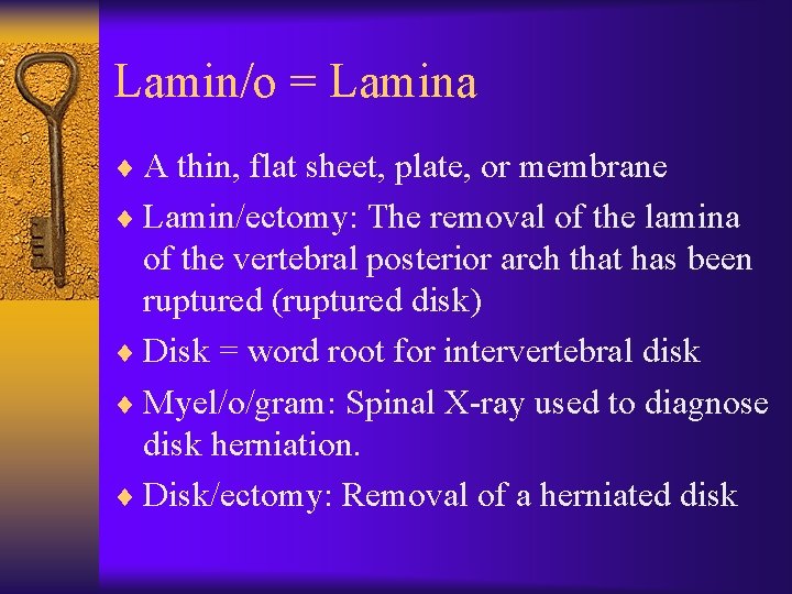 Lamin/o = Lamina ¨ A thin, flat sheet, plate, or membrane ¨ Lamin/ectomy: The