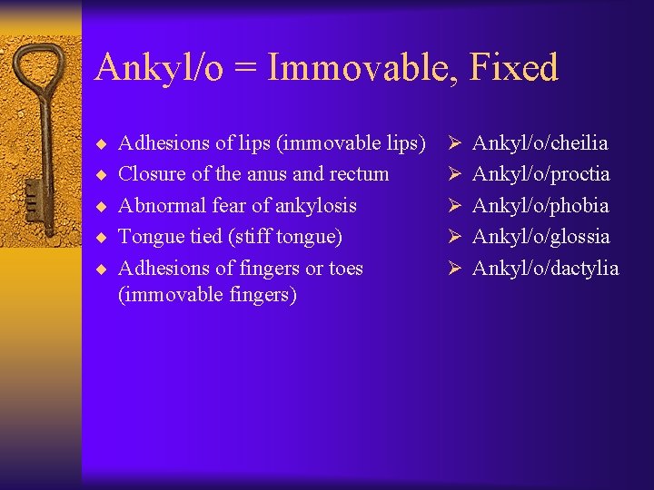 Ankyl/o = Immovable, Fixed ¨ Adhesions of lips (immovable lips) Ø Ankyl/o/cheilia ¨ Closure