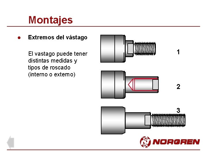 Montajes l Extremos del vástago El vastago puede tener distintas medidas y tipos de Montajes l Extremos del vástago El vastago puede tener distintas medidas y tipos de