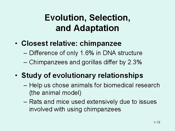 Evolution, Selection, and Adaptation • Closest relative: chimpanzee – Difference of only 1. 6%