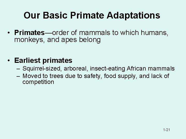 Our Basic Primate Adaptations • Primates—order of mammals to which humans, monkeys, and apes