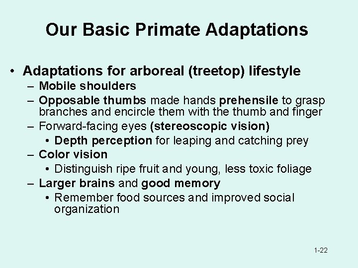 Our Basic Primate Adaptations • Adaptations for arboreal (treetop) lifestyle – Mobile shoulders –