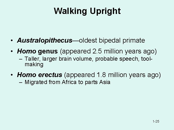 Walking Upright • Australopithecus—oldest bipedal primate • Homo genus (appeared 2. 5 million years