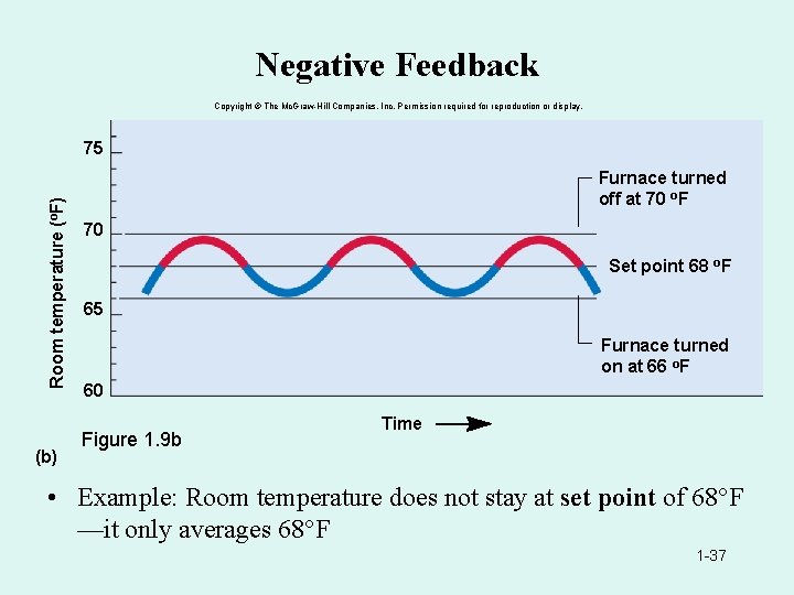 Negative Feedback Copyright © The Mc. Graw-Hill Companies, Inc. Permission required for reproduction or
