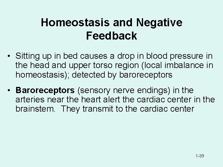 Homeostasis and Negative Feedback • Sitting up in bed causes a drop in blood