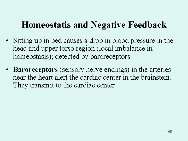 Homeostatis and Negative Feedback • Sitting up in bed causes a drop in blood