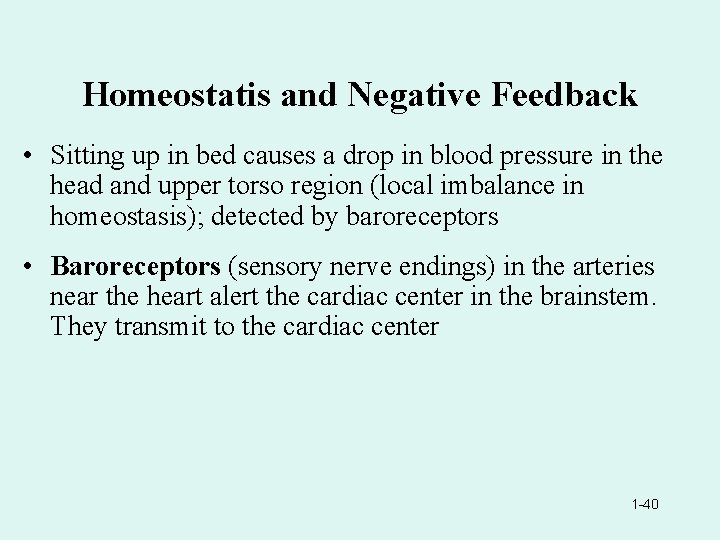 Homeostatis and Negative Feedback • Sitting up in bed causes a drop in blood