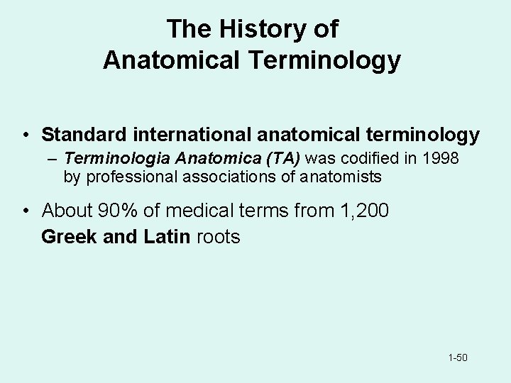 The History of Anatomical Terminology • Standard international anatomical terminology – Terminologia Anatomica (TA)