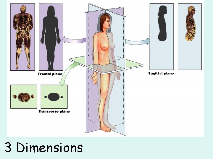 3 Dimensions 