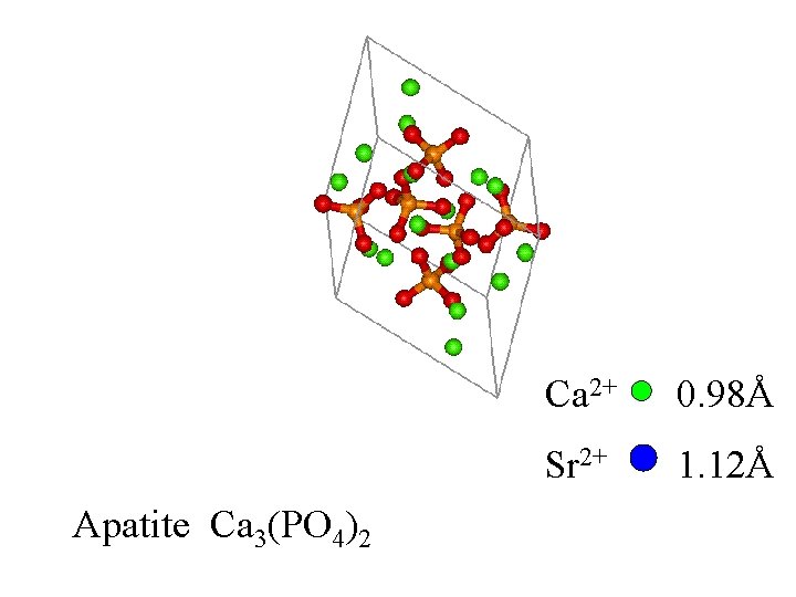 Apatite Ca 3(PO 4)2 Ca 2+ 0. 98Å Sr 2+ 1. 12Å 