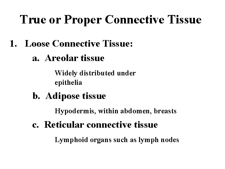 True or Proper Connective Tissue 1. Loose Connective Tissue: a. Areolar tissue Widely distributed