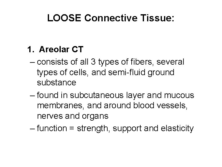 LOOSE Connective Tissue: 1. Areolar CT – consists of all 3 types of fibers,