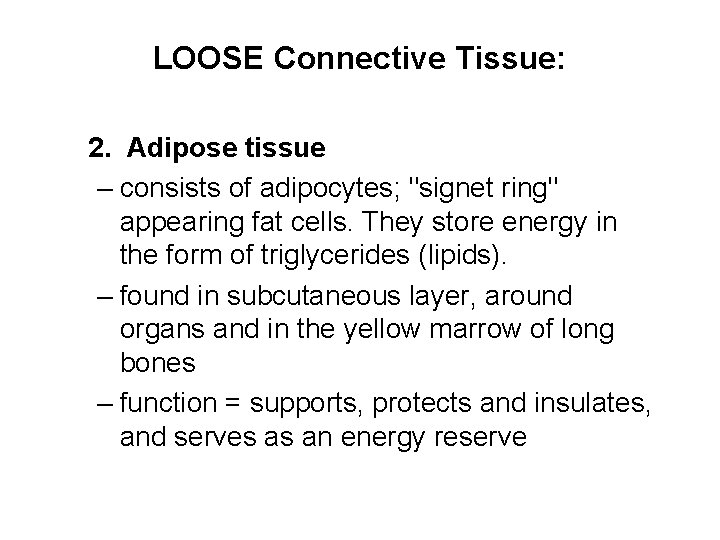 LOOSE Connective Tissue: 2. Adipose tissue – consists of adipocytes; "signet ring" appearing fat