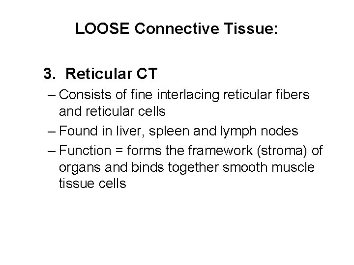 LOOSE Connective Tissue: 3. Reticular CT – Consists of fine interlacing reticular fibers and