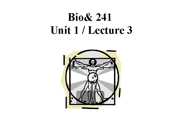 Bio& 241 Unit 1 / Lecture 3 