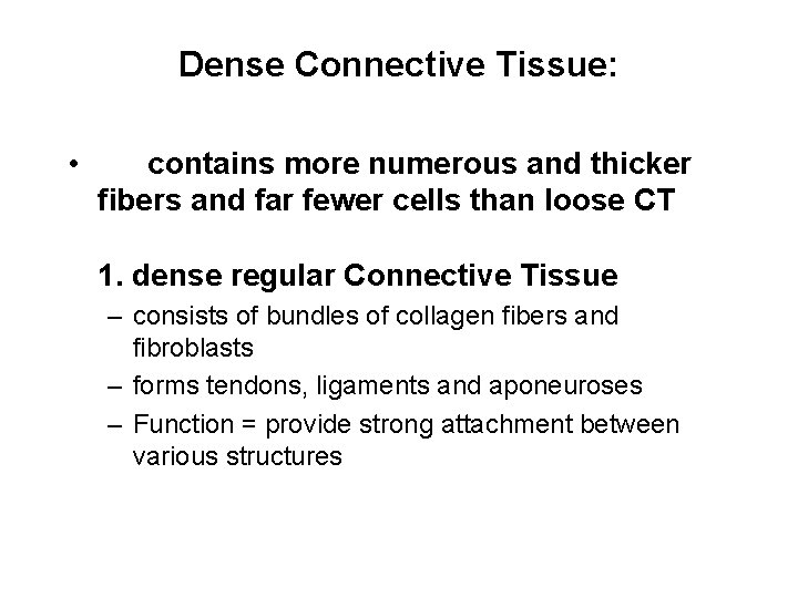 Dense Connective Tissue: • contains more numerous and thicker fibers and far fewer cells