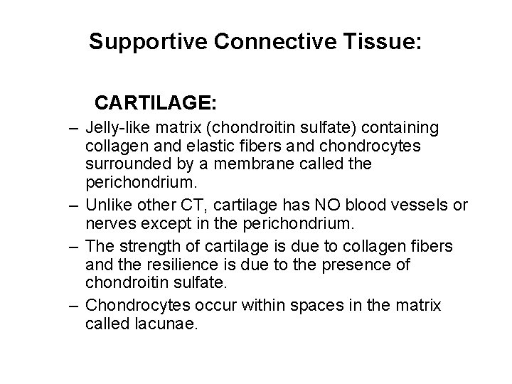 Supportive Connective Tissue: CARTILAGE: – Jelly-like matrix (chondroitin sulfate) containing collagen and elastic fibers