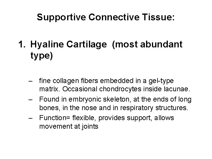 Supportive Connective Tissue: 1. Hyaline Cartilage (most abundant type) – fine collagen fibers embedded