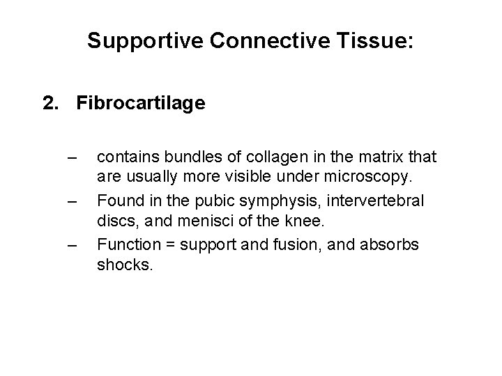 Supportive Connective Tissue: 2. Fibrocartilage – – – contains bundles of collagen in the