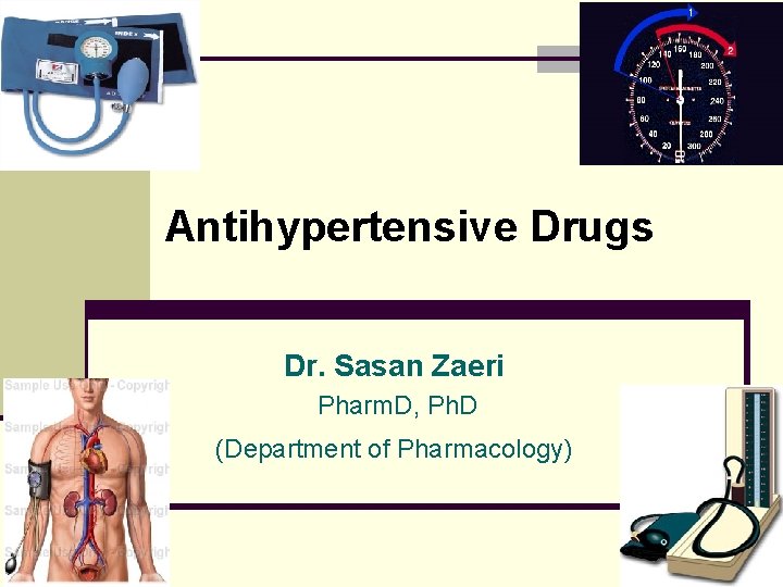 Antihypertensive Drugs Dr. Sasan Zaeri Pharm. D, Ph. D (Department of Pharmacology) 