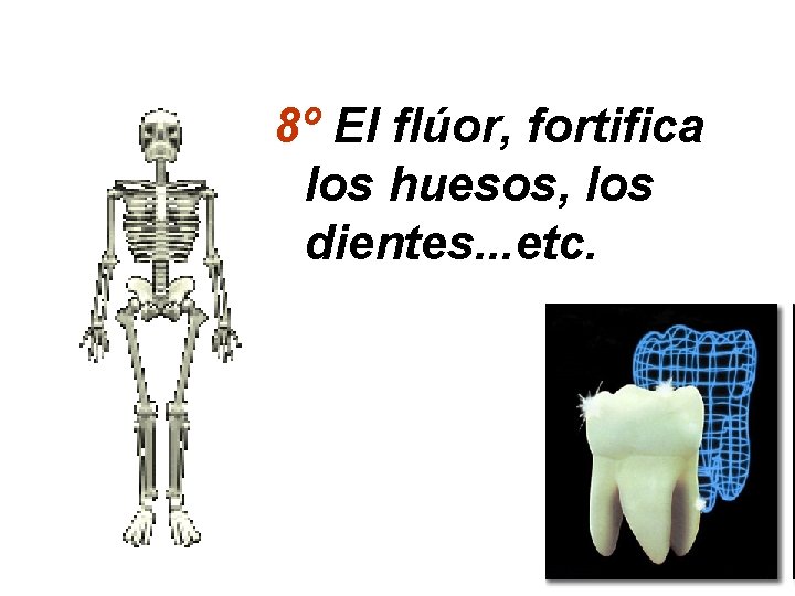 8º El flúor, fortifica los huesos, los dientes. . . etc. 