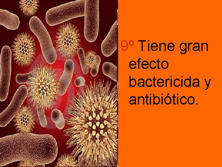 9º Tiene gran efecto bactericida y antibiótico. 