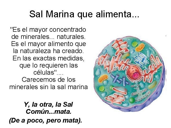 Sal Marina que alimenta. . . "Es el mayor concentrado de minerales. . .