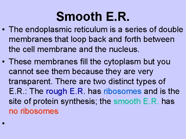 Smooth E. R. • The endoplasmic reticulum is a series of double membranes that