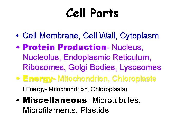 Cell Parts • Cell Membrane, Cell Wall, Cytoplasm • Protein Production- Nucleus, Nucleolus, Endoplasmic
