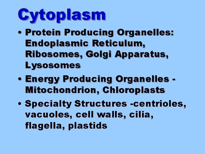 Cytoplasm • Protein Producing Organelles: Endoplasmic Reticulum, Ribosomes, Golgi Apparatus, Lysosomes • Energy Producing