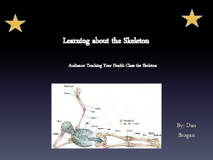Learning about the Skeleton Audience: Teaching Your Health Class the Skeleton By: Dan Brogan