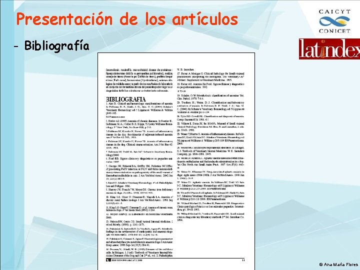 Presentación de los artículos - Bibliografía © Ana María Flores 