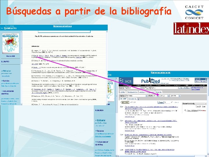 Búsquedas a partir de la bibliografía 