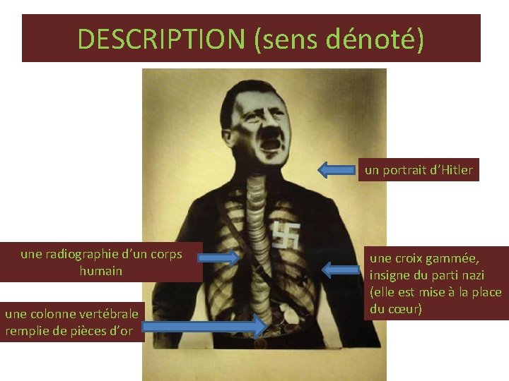 DESCRIPTION (sens dénoté) un portrait d’Hitler une radiographie d’un corps humain une colonne vertébrale