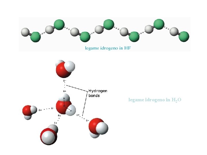 legame idrogeno in H 2 O 