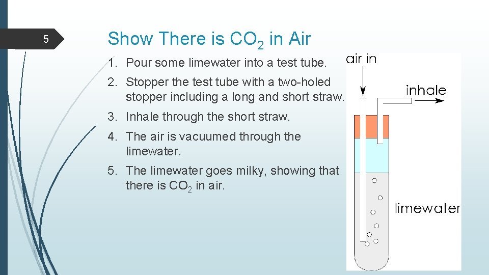 5 Show There is CO 2 in Air 1. Pour some limewater into a