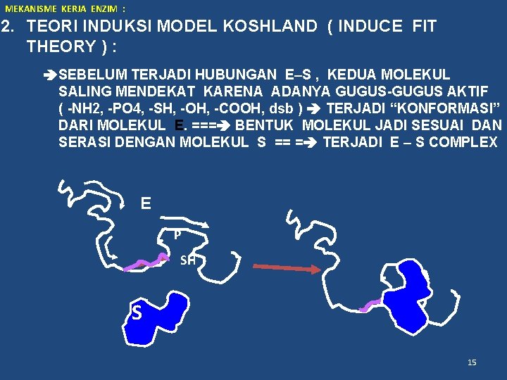 MEKANISME KERJA ENZIM : 2. TEORI INDUKSI MODEL KOSHLAND ( INDUCE FIT THEORY )