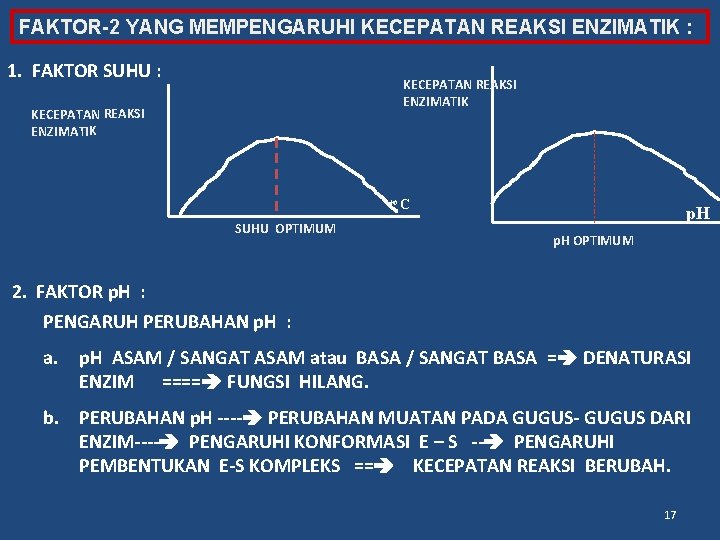 FAKTOR-2 YANG MEMPENGARUHI KECEPATAN REAKSI ENZIMATIK : 1. FAKTOR SUHU : KECEPATAN REAKSI ENZIMATIK