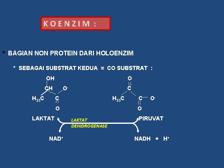 KOENZIM : * BAGIAN NON PROTEIN DARI HOLOENZIM * SEBAGAI SUBSTRAT KEDUA = CO