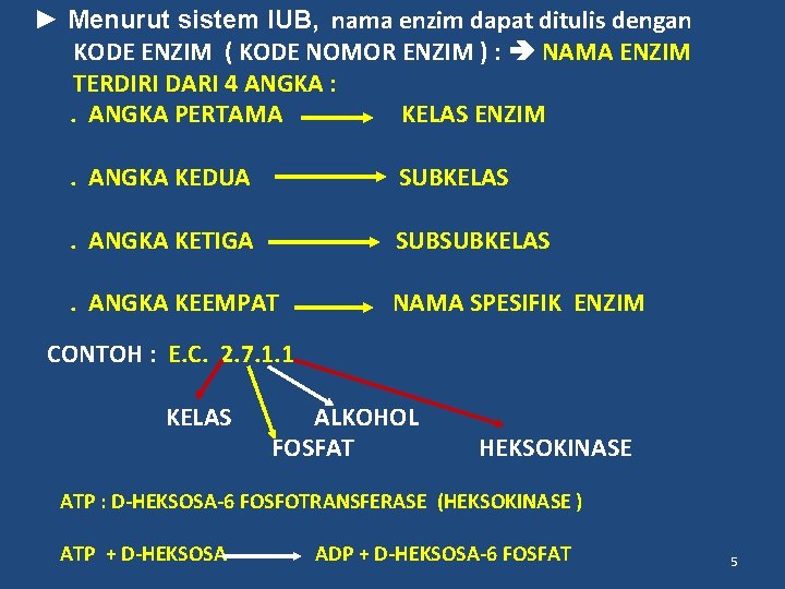 ► Menurut sistem IUB, nama enzim dapat ditulis dengan KODE ENZIM ( KODE NOMOR