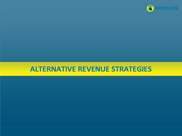 ALTERNATIVE REVENUE STRATEGIES 