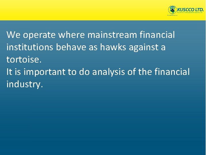 We operate where mainstream financial institutions behave as hawks against a tortoise. It is