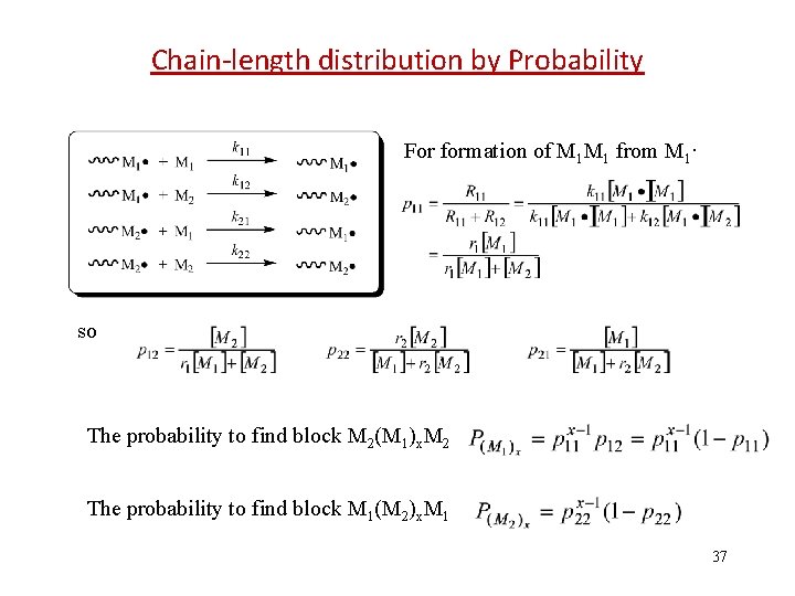 Chain-length distribution by Probability For formation of M 1 M 1 from M 1·