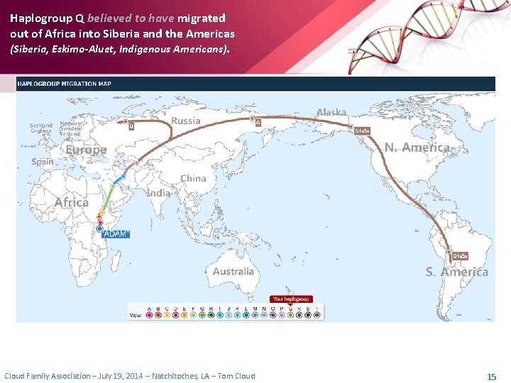 Haplogroup Q believed to have migrated out of Africa into Siberia and the Americas