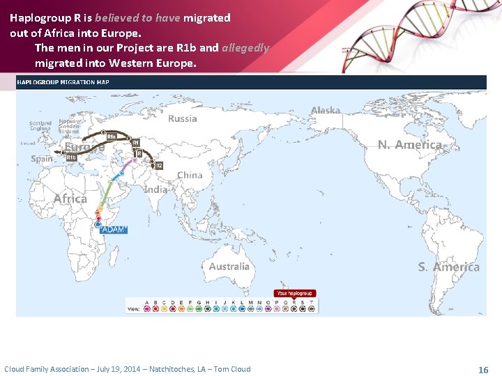 Haplogroup R is believed to have migrated out of Africa into Europe. The men