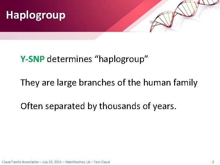 Haplogroup Y-SNP determines “haplogroup” They are large branches of the human family Often separated