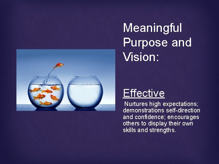 Meaningful Purpose and Vision: Effective Nurtures high expectations; demonstrations self-direction and confidence; encourages others